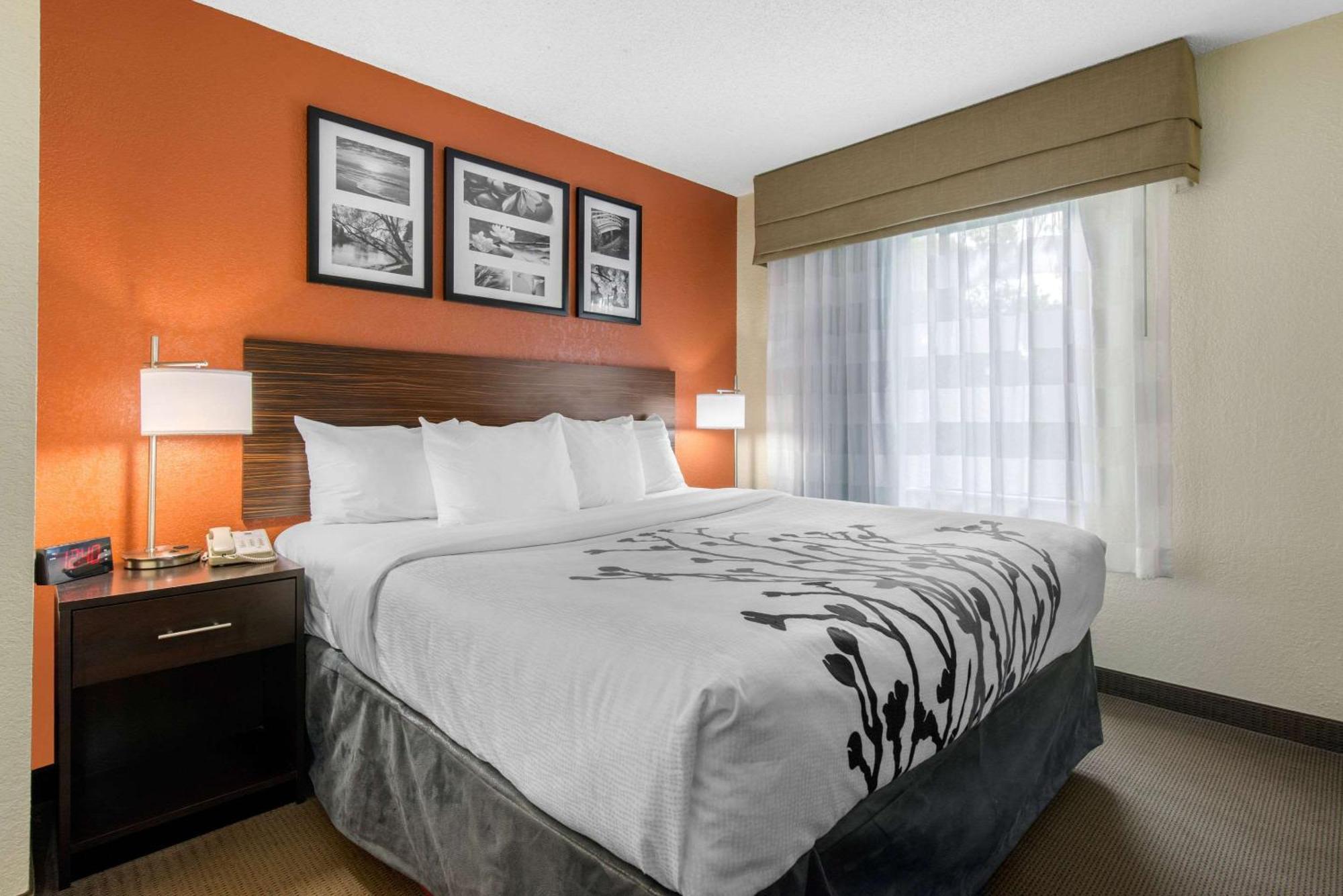 Sleep Inn Sarasota North Екстериор снимка